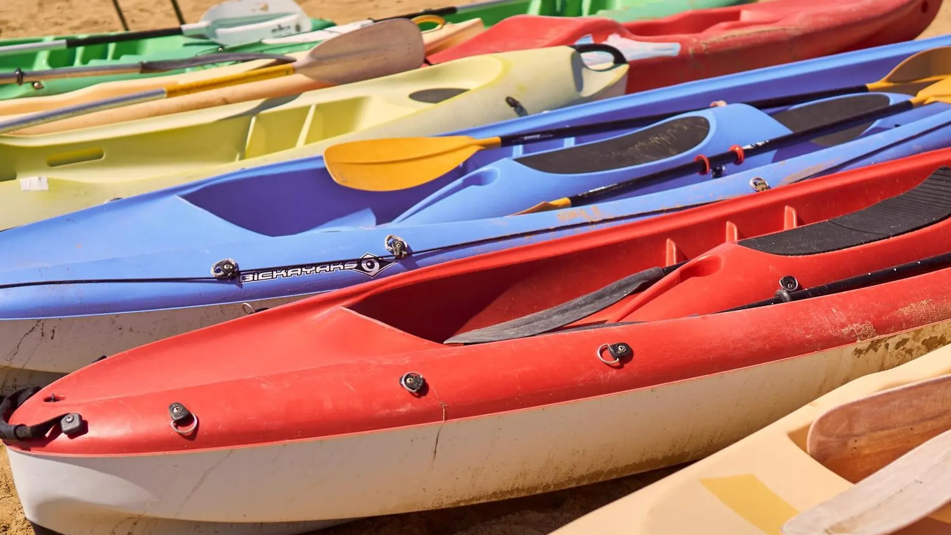 Beachfront Colourful Flat With Swimming Pool Bibione Italy