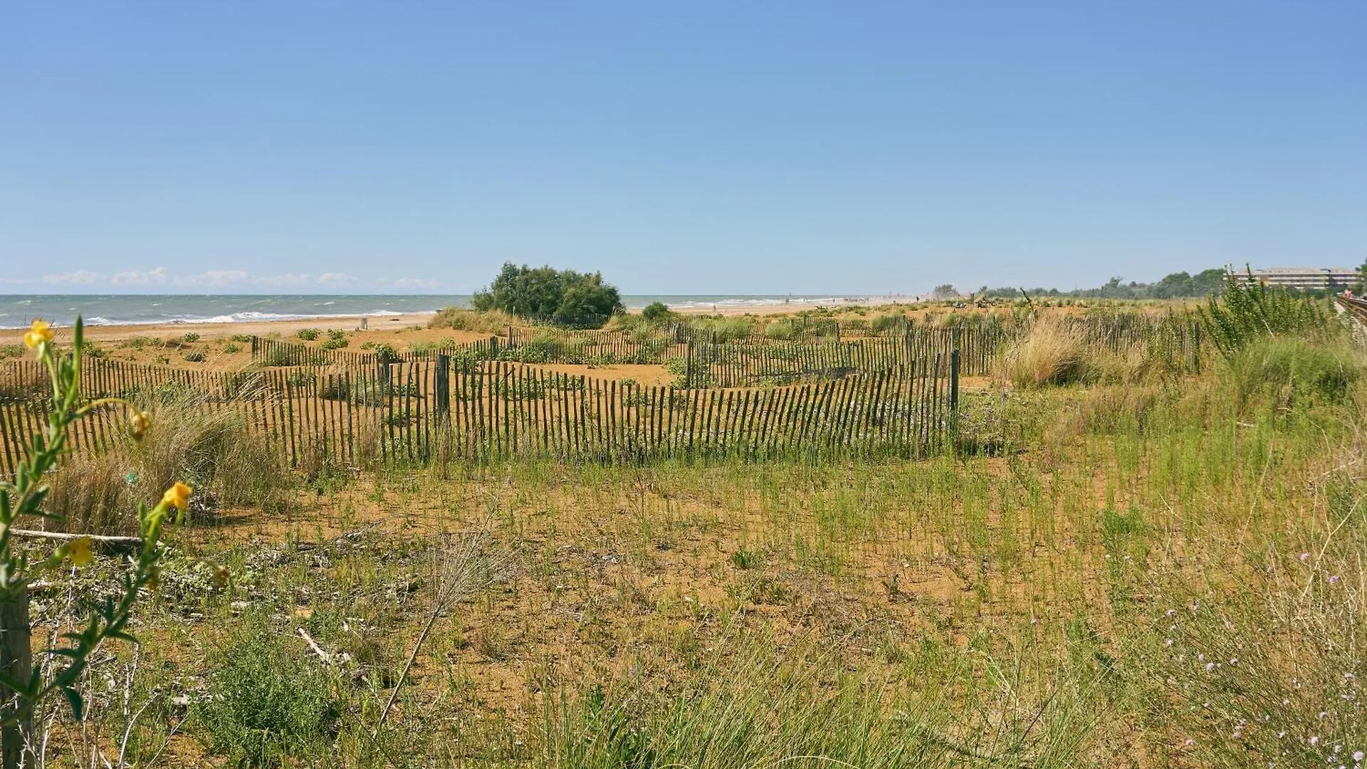 Beachfront Colourful Flat With Swimming Pool Bibione Apartment